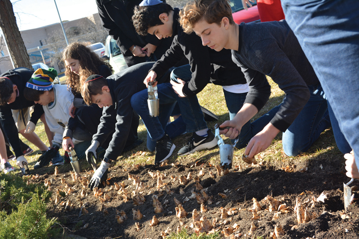 Eighth-graders at Hyman Brand Hebrew Academy planted daffodils at the Memorial to the Six Million at the Jewish Community Campus last week.