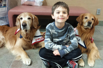 Daniel Martin, pre-K student at the Jewish Community Center’s Child Development Center, enjoyed spending time with Daniel Sievert’s comfort dogs Jake and Emerson last week. Through Sievert’s efforts, Golden Missions of America brings joy, love, hope and comfort to people who are suffering from losses of all different kinds. After hearing of the April 13 shootings, Sievert and his dogs trekked to Overland Park to bring comfort to people at the Campus and Village Shalom. It was a welcome sight for people of all ages! For more information, email goldenmissionsofamerica@gmail.com.